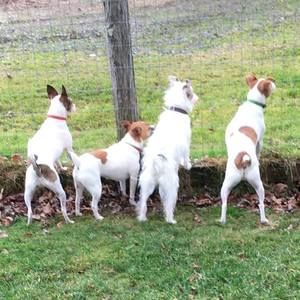 Meet your Posher, Michele